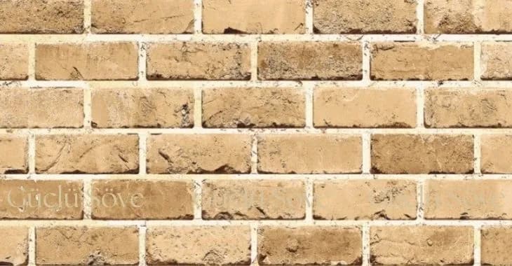 Обикновена тухла 012