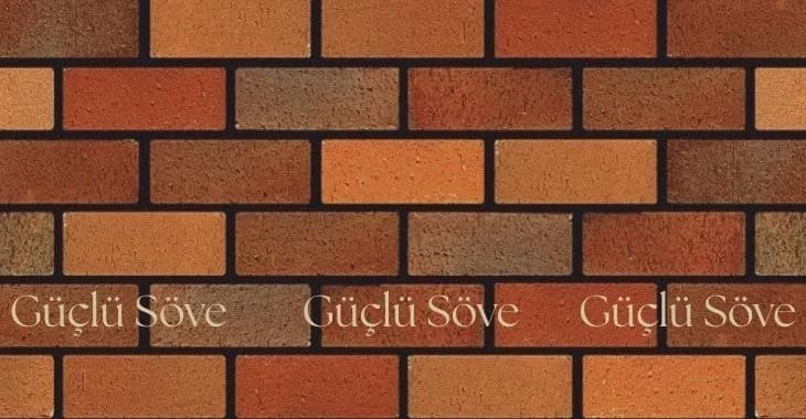 Обикновена тухла 011